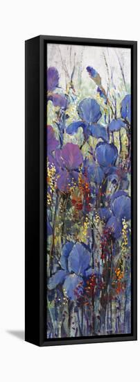 Iris Field III-Tim O'toole-Framed Stretched Canvas