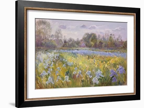 Iris Field in the Evening Light, 1993-Timothy Easton-Framed Giclee Print