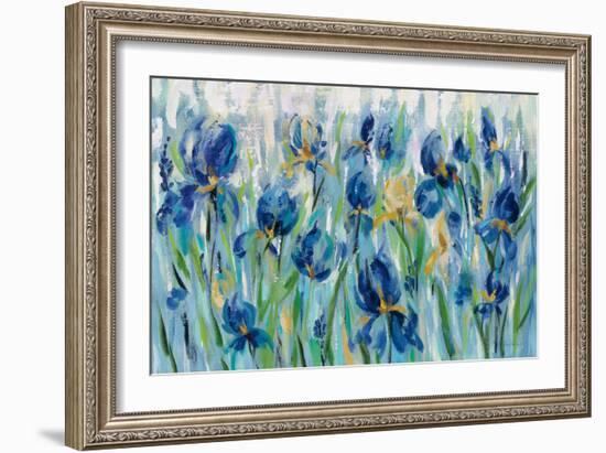 Iris Flower Bed-Silvia Vassileva-Framed Art Print