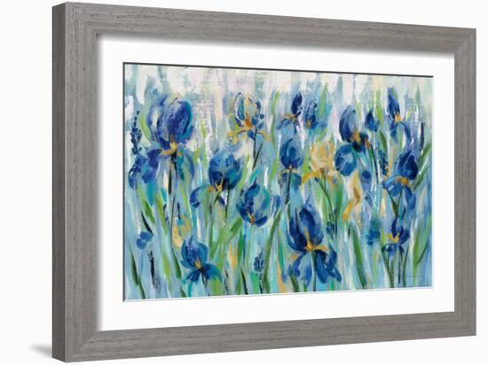 Iris Flower Bed-Silvia Vassileva-Framed Art Print