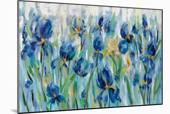 Iris Flower Bed-Silvia Vassileva-Mounted Art Print