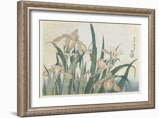 Iris Flowers and Grasshopper, C.1830-31-Katsushika Hokusai-Framed Giclee Print