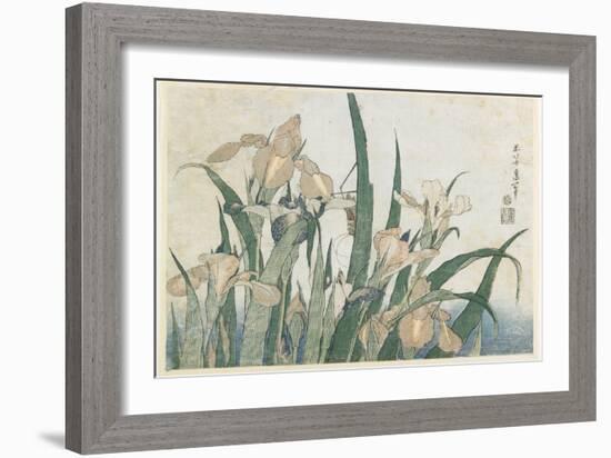 Iris Flowers and Grasshopper, C.1830-31-Katsushika Hokusai-Framed Giclee Print