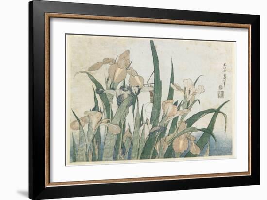 Iris Flowers and Grasshopper, C.1830-31-Katsushika Hokusai-Framed Giclee Print