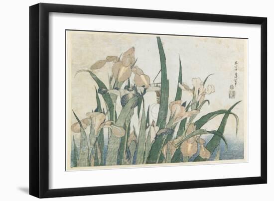 Iris Flowers and Grasshopper, C.1830-31-Katsushika Hokusai-Framed Giclee Print