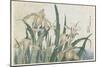 Iris Flowers and Grasshopper, C.1830-31-Katsushika Hokusai-Mounted Giclee Print