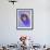Iris Flowers-Adam Jones-Framed Photographic Print displayed on a wall
