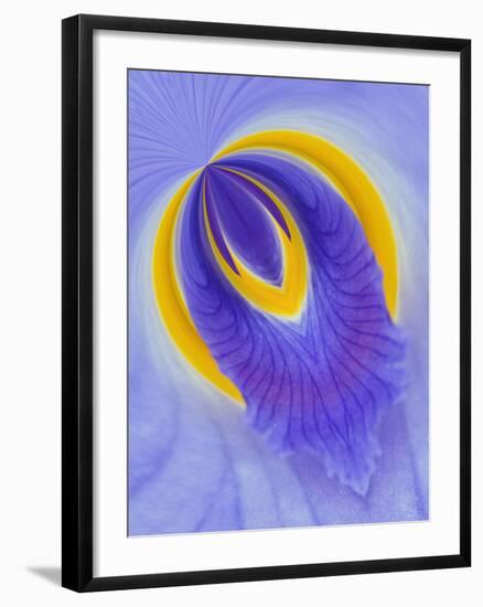 Iris Flowers-Adam Jones-Framed Photographic Print