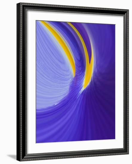 Iris Flowers-Adam Jones-Framed Photographic Print