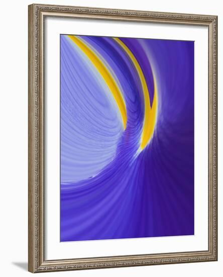 Iris Flowers-Adam Jones-Framed Photographic Print