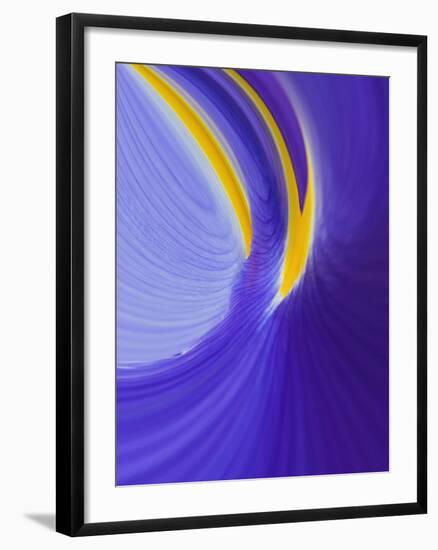 Iris Flowers-Adam Jones-Framed Photographic Print