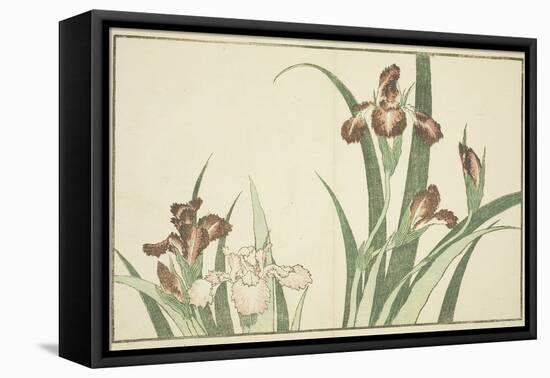 Iris, from the Picture Book of Realistic Paintings of Hokusai (Hokusai Shashin Gafu), C.1814-Katsushika Hokusai-Framed Premier Image Canvas