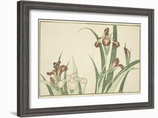 Iris, from the Picture Book of Realistic Paintings of Hokusai (Hokusai Shashin Gafu), C.1814-Katsushika Hokusai-Framed Giclee Print