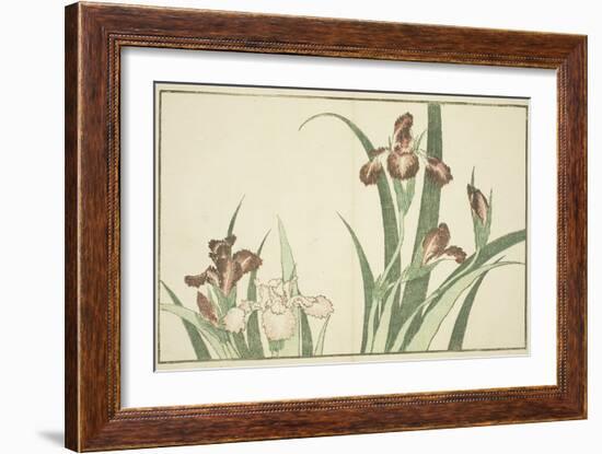 Iris, from the Picture Book of Realistic Paintings of Hokusai (Hokusai Shashin Gafu), C.1814-Katsushika Hokusai-Framed Giclee Print