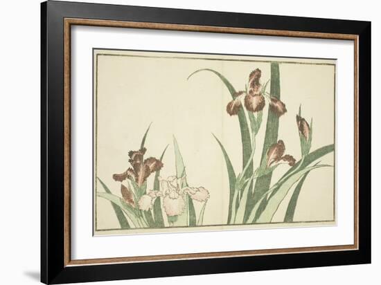 Iris, from the Picture Book of Realistic Paintings of Hokusai (Hokusai Shashin Gafu), C.1814-Katsushika Hokusai-Framed Giclee Print