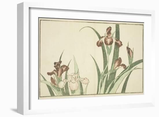 Iris, from the Picture Book of Realistic Paintings of Hokusai (Hokusai Shashin Gafu), C.1814-Katsushika Hokusai-Framed Giclee Print