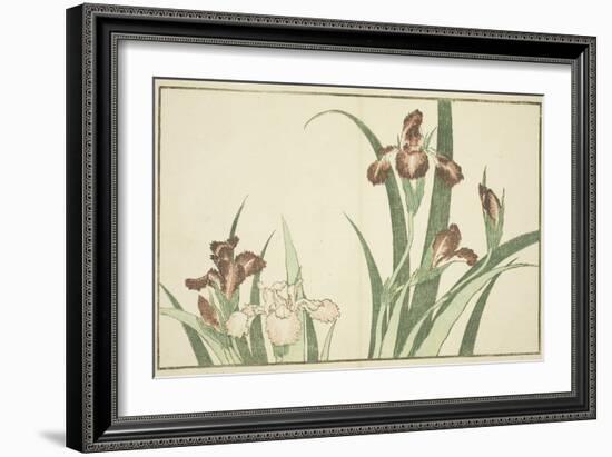 Iris, from the Picture Book of Realistic Paintings of Hokusai (Hokusai Shashin Gafu), C.1814-Katsushika Hokusai-Framed Giclee Print