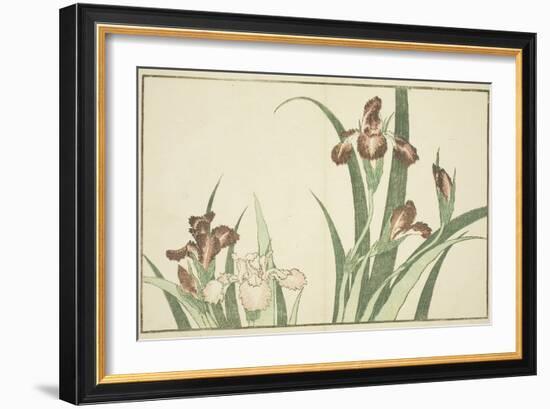 Iris, from the Picture Book of Realistic Paintings of Hokusai (Hokusai Shashin Gafu), C.1814-Katsushika Hokusai-Framed Giclee Print