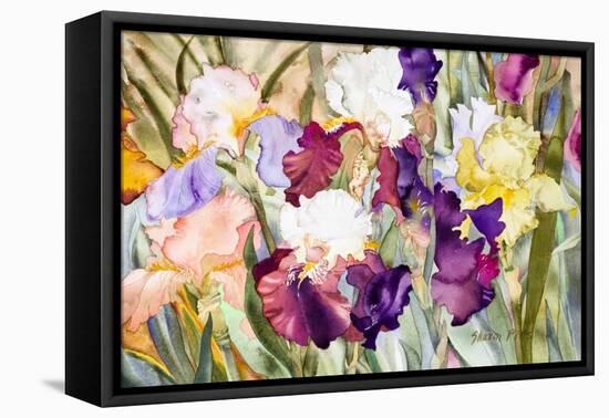 Iris Garden I-Sharon Pitts-Framed Premier Image Canvas