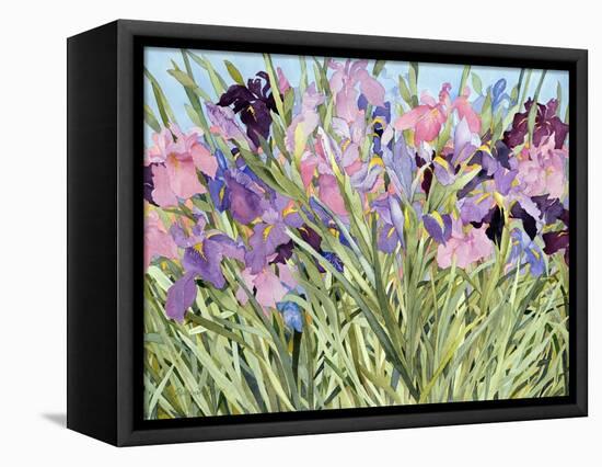 Iris Garden X-Sharon Pitts-Framed Premier Image Canvas