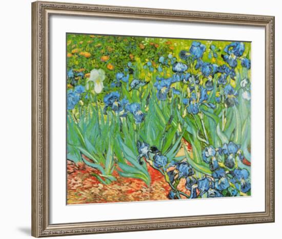 Iris Garden-Vincent van Gogh-Framed Art Print