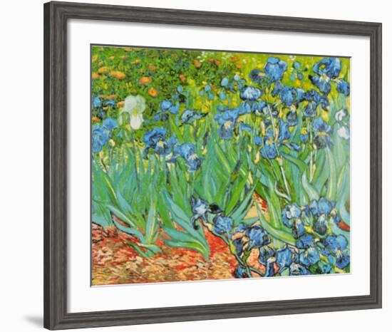 Iris Garden-Vincent van Gogh-Framed Art Print