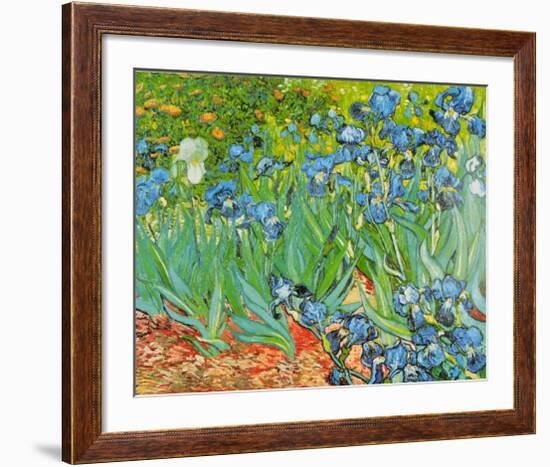 Iris Garden-Vincent van Gogh-Framed Art Print