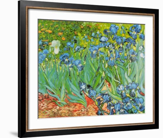 Iris Garden-Vincent van Gogh-Framed Art Print