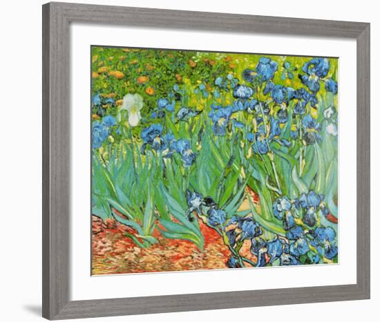 Iris Garden-Vincent van Gogh-Framed Art Print