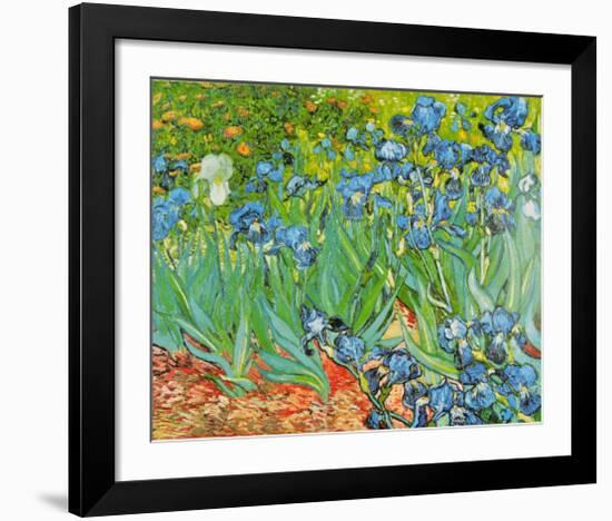 Iris Garden-Vincent van Gogh-Framed Art Print