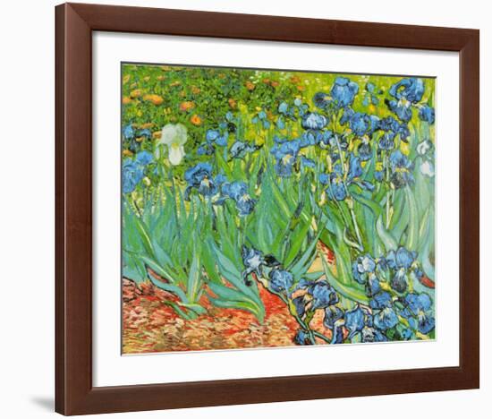 Iris Garden-Vincent van Gogh-Framed Art Print