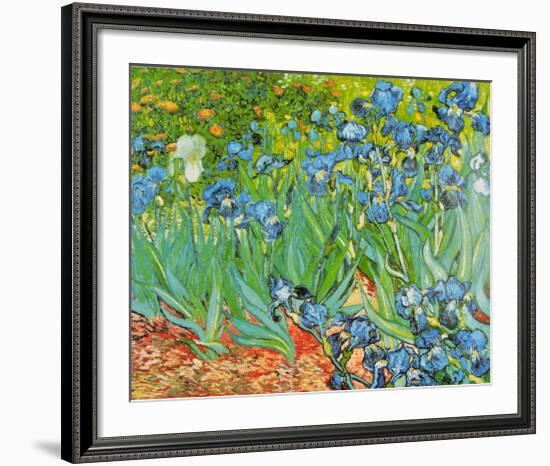 Iris Garden-Vincent van Gogh-Framed Art Print