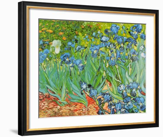 Iris Garden-Vincent van Gogh-Framed Art Print