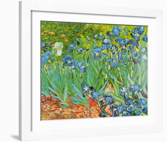 Iris Garden-Vincent van Gogh-Framed Art Print