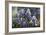 Iris Garden-Fangyu Meng-Framed Giclee Print