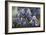 Iris Garden-Fangyu Meng-Framed Giclee Print