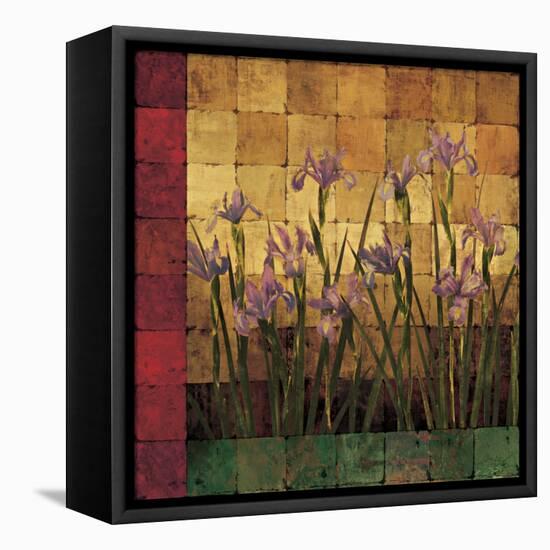 Iris Garden-Marcia Wells-Framed Stretched Canvas