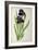 Iris Germanica, from Les Liliacees-Pierre-Joseph Redouté-Framed Giclee Print