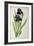 Iris Germanica, from Les Liliacees-Pierre-Joseph Redouté-Framed Giclee Print