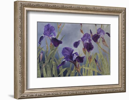 Iris hybrida, 2015-Odile Kidd-Framed Photographic Print