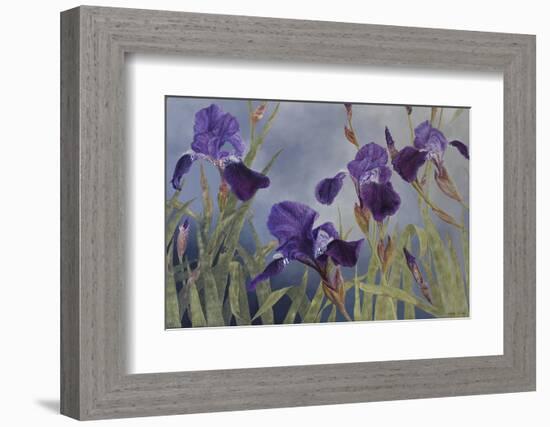 Iris hybrida, 2015-Odile Kidd-Framed Photographic Print