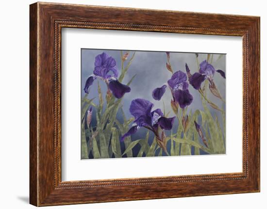 Iris hybrida, 2015-Odile Kidd-Framed Photographic Print