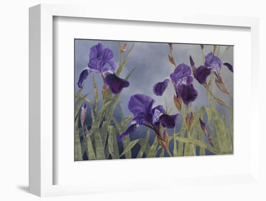 Iris hybrida, 2015-Odile Kidd-Framed Photographic Print