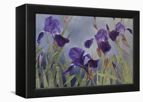 Iris hybrida, 2015-Odile Kidd-Framed Premier Image Canvas