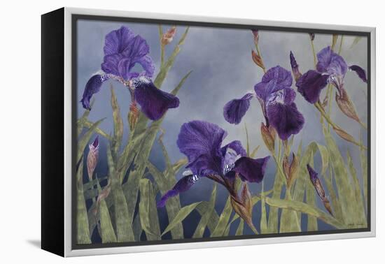 Iris hybrida, 2015-Odile Kidd-Framed Premier Image Canvas