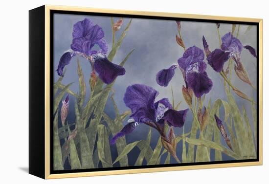 Iris hybrida, 2015-Odile Kidd-Framed Premier Image Canvas