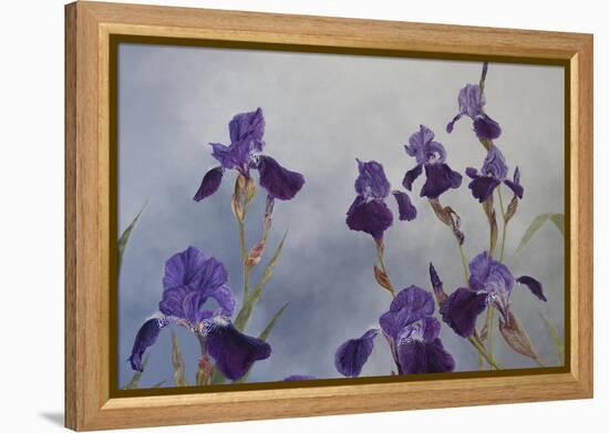 Iris hybrida, 2015-Odile Kidd-Framed Premier Image Canvas