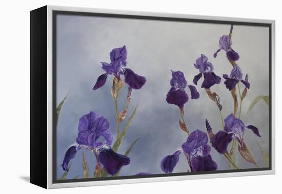 Iris hybrida, 2015-Odile Kidd-Framed Premier Image Canvas