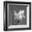 Iris I-Tom Artin-Framed Art Print