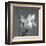 Iris I-Tom Artin-Framed Art Print